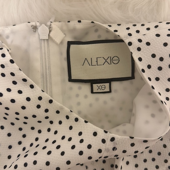 Alexis Mini Dress - Picture 3 of 5